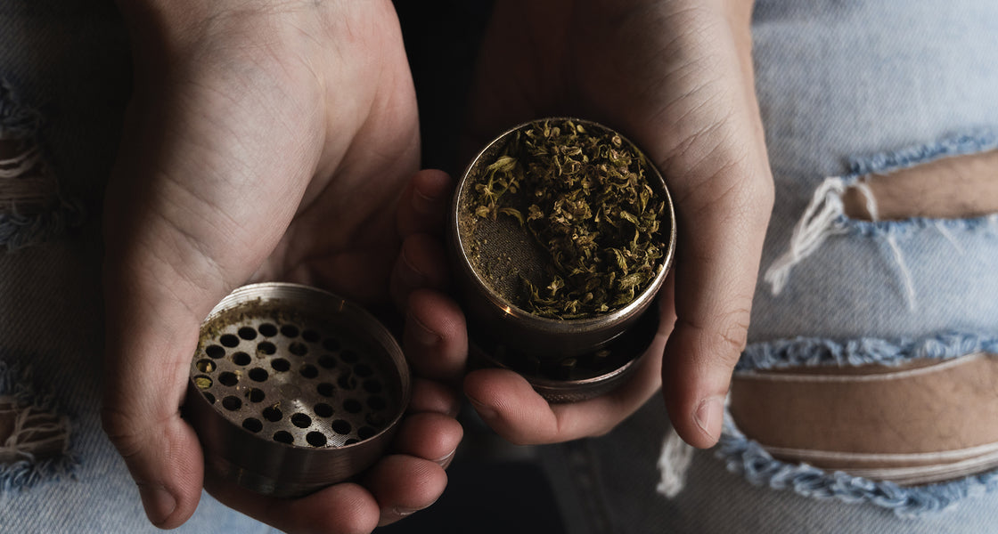 What is a Grinder?, Cannabis Glossary