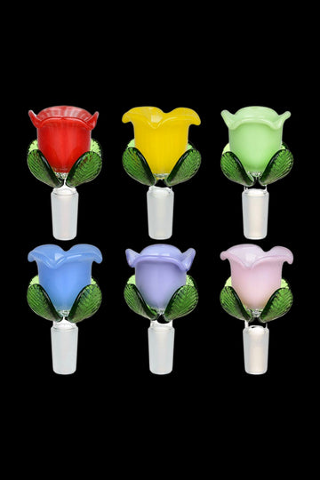 Colorful Roses Herb Slide - 6pc Set - Colorful Roses Herb Slide - 6pc Set