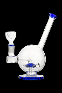 Hemper Sea Turtle Bong