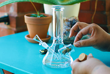 Shop Bongs